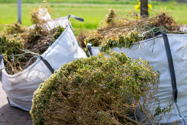 Best Yard Cleanup Services  in Vienna Bend, LA